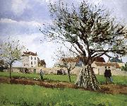 Camille Pissarro Pang map of apple Schwarz oil painting
